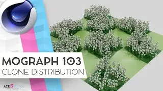 Mograph 103 - Clone Distribution [C4d] | Cinema 4D | cloner
