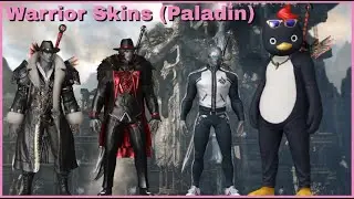 Lost Ark Warrior (Paladin) Avatar / Skins Showcase