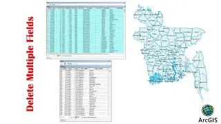 How to Delete Multiple fields in ArcGIS