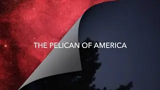 Astrophotography of the North America and Pelican nebulae in Askar FRA500, 0,7x reducer and QHY 268M