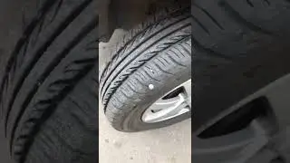 Тычину в Бочину