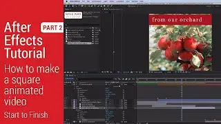 After Effects Tutorial - Animated Video - Part 2
