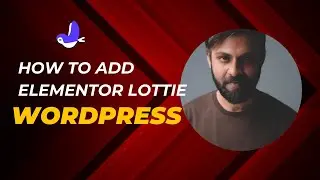 Elementor Lottie Animation Tutorial | No Coding
