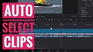 Auto Select clips in Davinci Resolve