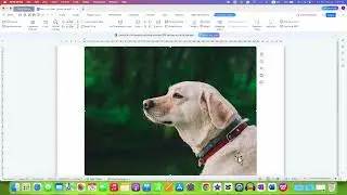 How To Add Photo In WPS Office
