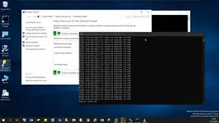 I cannot ping my windows virtual machine solved!