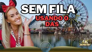 COMO USAR O DAS NA DISNEY. Saiba como se Inscrever e como Utilizar o Serviço de DESABILIDADE.