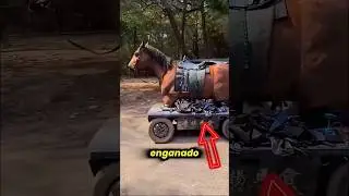 Fomos enganados pelo cinema a vida toda 🤯 #shorts #curiosidades