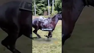His Last Wish