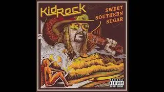 Kid Rock - Raining Whiskey (Audio)