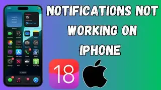How to Fix Notifications Not Working on iPhone | Fix Notifications Not Working | 2024