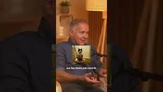 L'IMPORTANCE DE LA STÉRILISATION