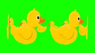 Duck green screen video - Rotating Duck Green screen Effect