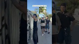 Maratón de Bobby 2 en YT🔥MAÑANA#humorperros #humorviral #humormascotas #perrosderisa #memesdeperros