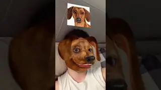 I’m a dog! 