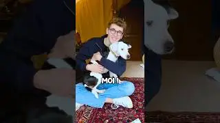 POUR COMBIEN D’ 💶 MA CHIENNE ABANDONNE SON OS ? 🦴