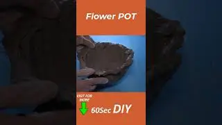 Cement Flower Pot DIY - 