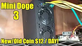 Mini Doge 3 Comes Out Swinging At $12 / Day! (NEW COIN)
