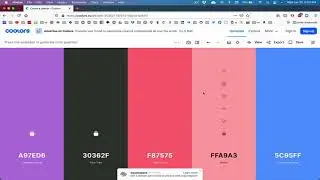 2. Coolors - The super fast color schemes generator! - Website of the day