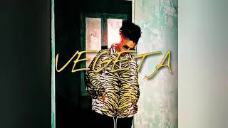 *FREE* • MMZ X PNL Type Beat • « VEGETA » • Chill Wavy Cloud Trap Type Beat 2021