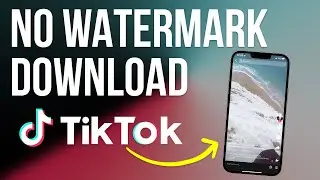 Fast Way To Download TikTok Videos Without Watermark