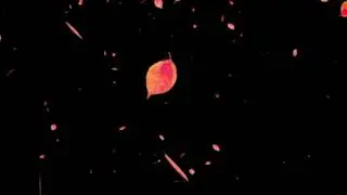 leaves falling green screen | Green Screen | Leaves Falling