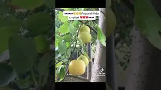 Россия!Мы с тобой♡