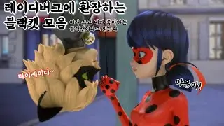 【Miraculous Ladybug】 Cat Noir being obsessed with Ladybug compilation