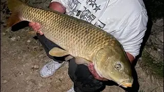 Big carp 🐟🎣 #carpfishing #pescuit #carpa #fish #carpfish #pescuit #pesca #fishing