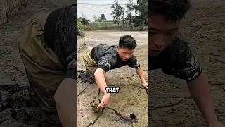 Catching a poisonous snake went so wrong 😱🐍