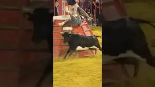 🐂 Sustos y cogidas 😂#toro #bull #sustos #bullrun#bullrace #bullattack #bullfighting
