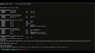 Testing a custom egg hunter on Linux x64