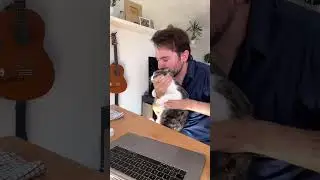 Técnica para sacar al gato de la computadora
