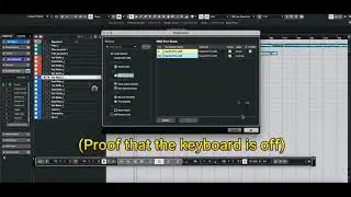 Cubase 11 Pro & KOMPLETE KONTROL S-Series MK2 - ‘All MIDI Inputs’ column box doesn’t get saved