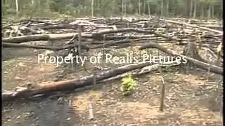AMAZON FILMS ARCHIVE STOCK FOOTAGE