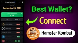 How to Connect Wallet in Hamster Kombat | Best Wallet? Ton Gas Fee?