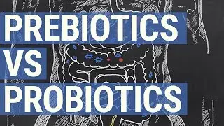 Prebiotics vs Probiotics