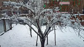 snowfall in Kashmir India Mayatech fun