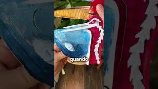 😯 Così Funziona Il Becco Del Pellicano!😯