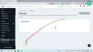 How to take backup wix website 2023