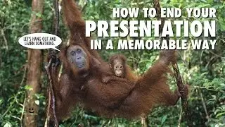 How To End Your Presentation In A Memorable Way