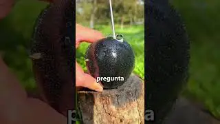 If you see this APPLE, run! 😨
