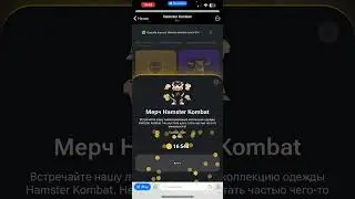 КОМБО в Hamster Kombat 11.06.2024. БОНУС в Хамстер Комбат. 5000 000 монет в Hamster Kombat