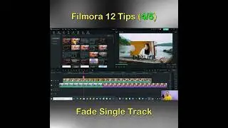 Filmora 12 Tips: Fade Single Track Effect 