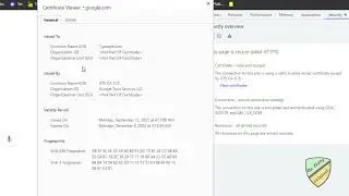 Viewing Digital Certificate from google including the key and expiration date