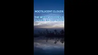 Noctilucent clouds are the most mysterious clouds on the Earth. Their nature is not known for sure.