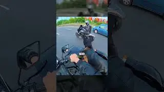 Der Biker fährt mit seinem Hund 🐕
