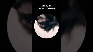 Обучение логистике | Обучение логистике бесплатно онлайн | Логистика и Транспорт