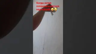 Маша какая хитрая 