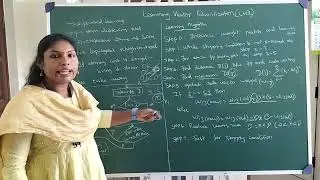 Artificial Neural Networks - Learning Vector Quantization (LVQ) Algorithm and working